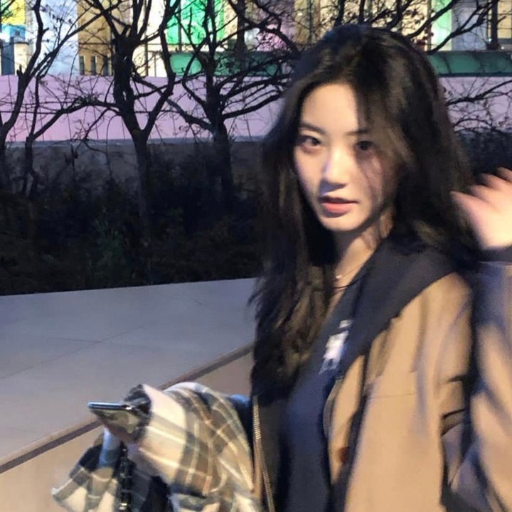 寅次郎的故事37:幸福的青鸟